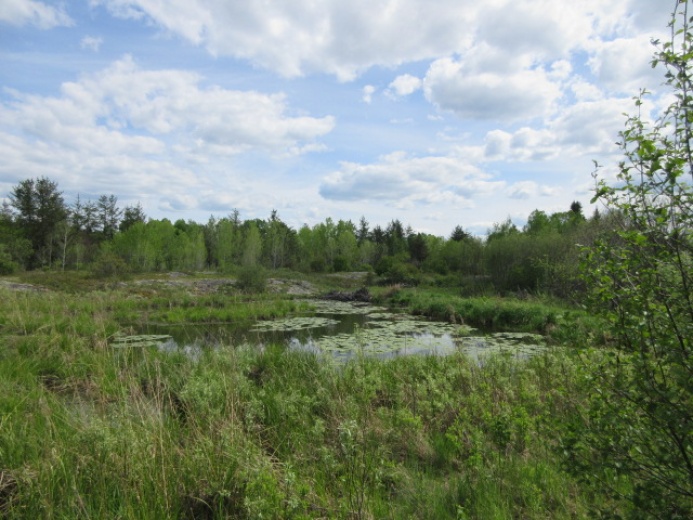 Land,For Sale,1120