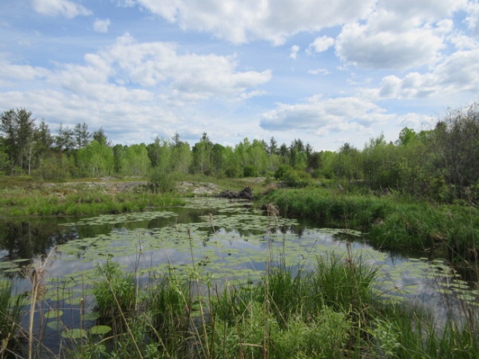 Land,For Sale,1120