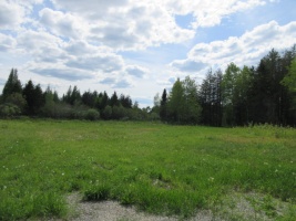 Land,For Sale,1120