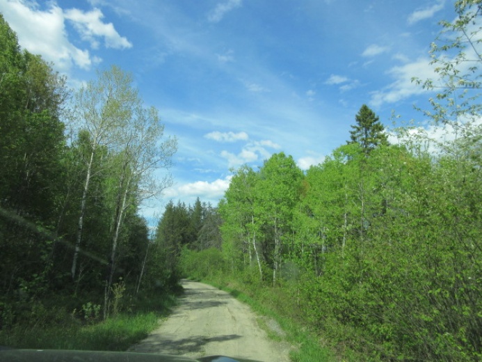 Land,For Sale,1120