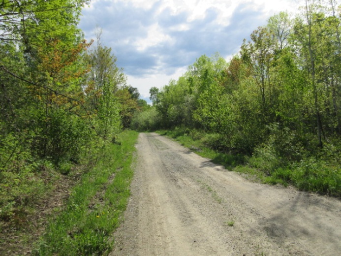 Land,For Sale,1120