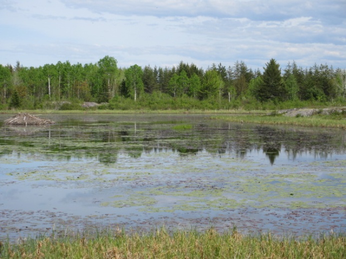Land,For Sale,1120