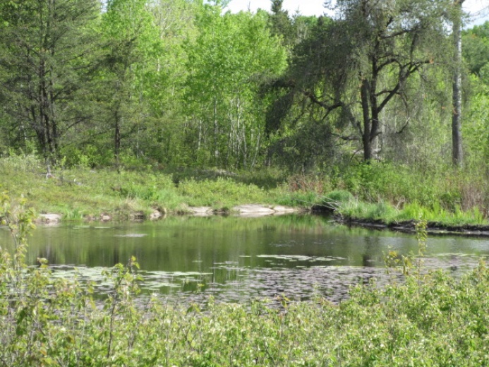 Land,For Sale,1120