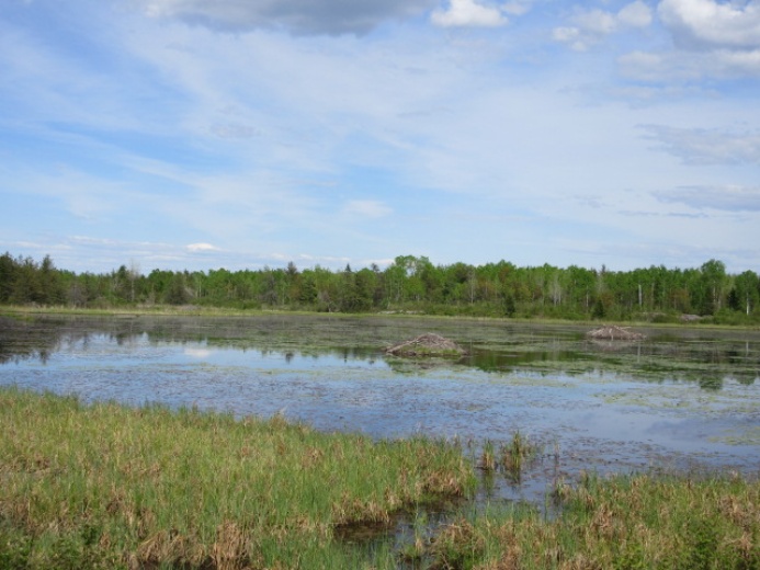 Land,For Sale,1120