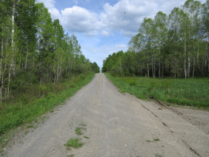 Land,For Sale,1120