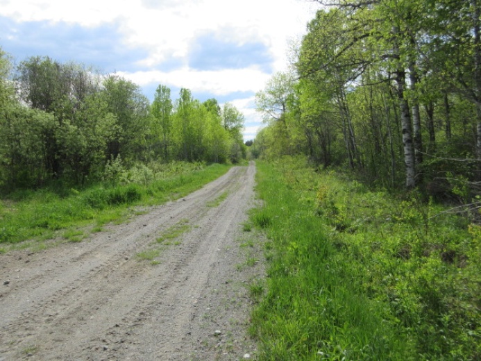 Land,For Sale,1120