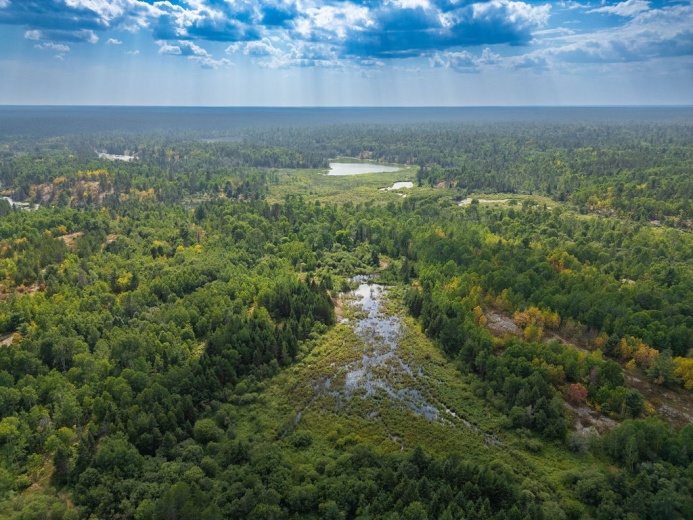 Land,For Sale,1120