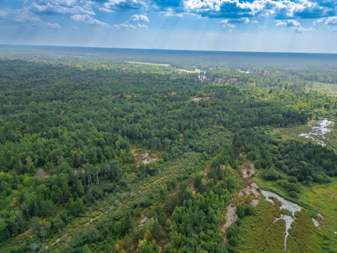 Land,For Sale,1120