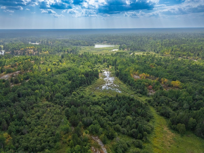 Land,For Sale,1120