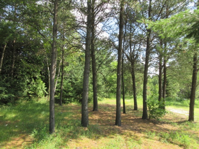 House,For Sale,1121