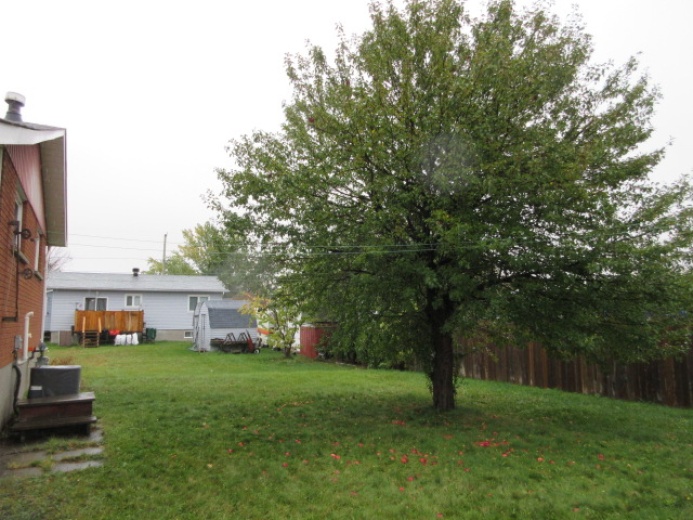 3 Bedrooms Bedrooms, ,2 BathroomsBathrooms,House,For Sale,1124