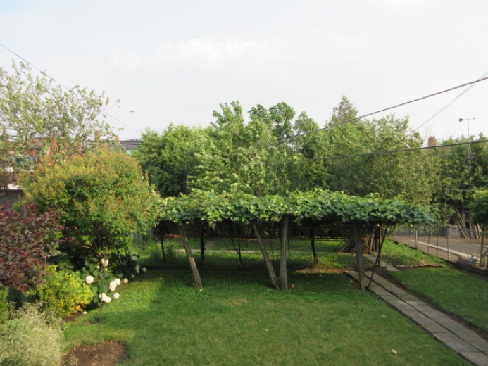 House,For Sale,1134