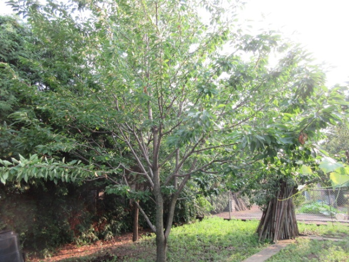 House,For Sale,1134