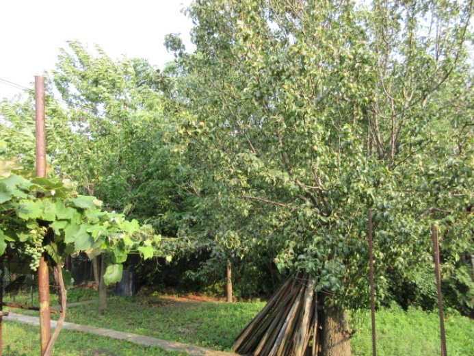 House,For Sale,1134