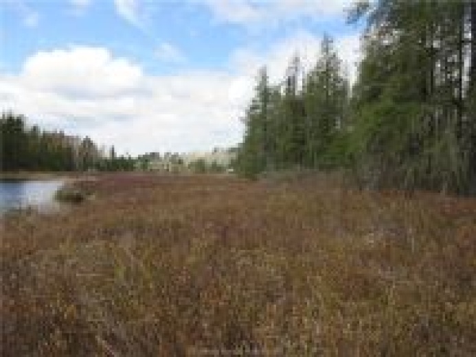 Land,SOLD!,1055